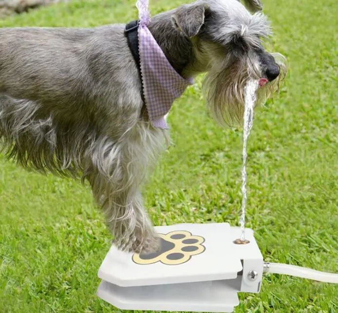 Outdoor Dog Pet Water Fountain - Osacean Sky Logistics