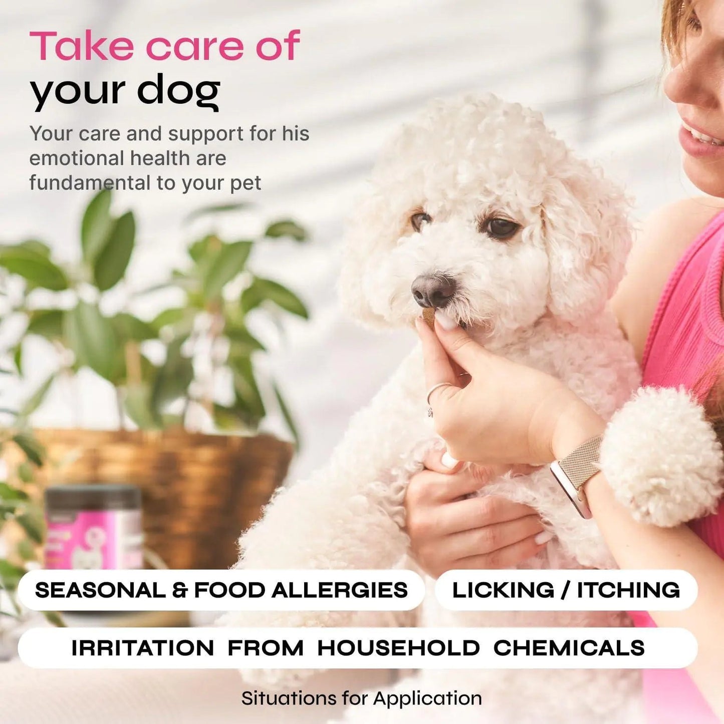 Dog Allergy Relief Chews Dog Itching Skin Relief Anti Itch Skin Health - Osacean Sky Logistics