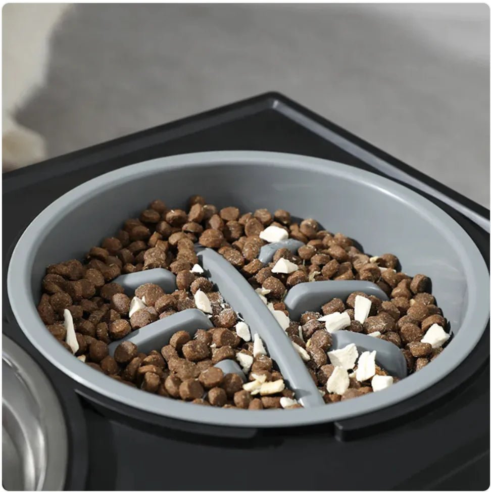 Elevated Slow - Feed Dog Bowl - Osacean Sky Logistics