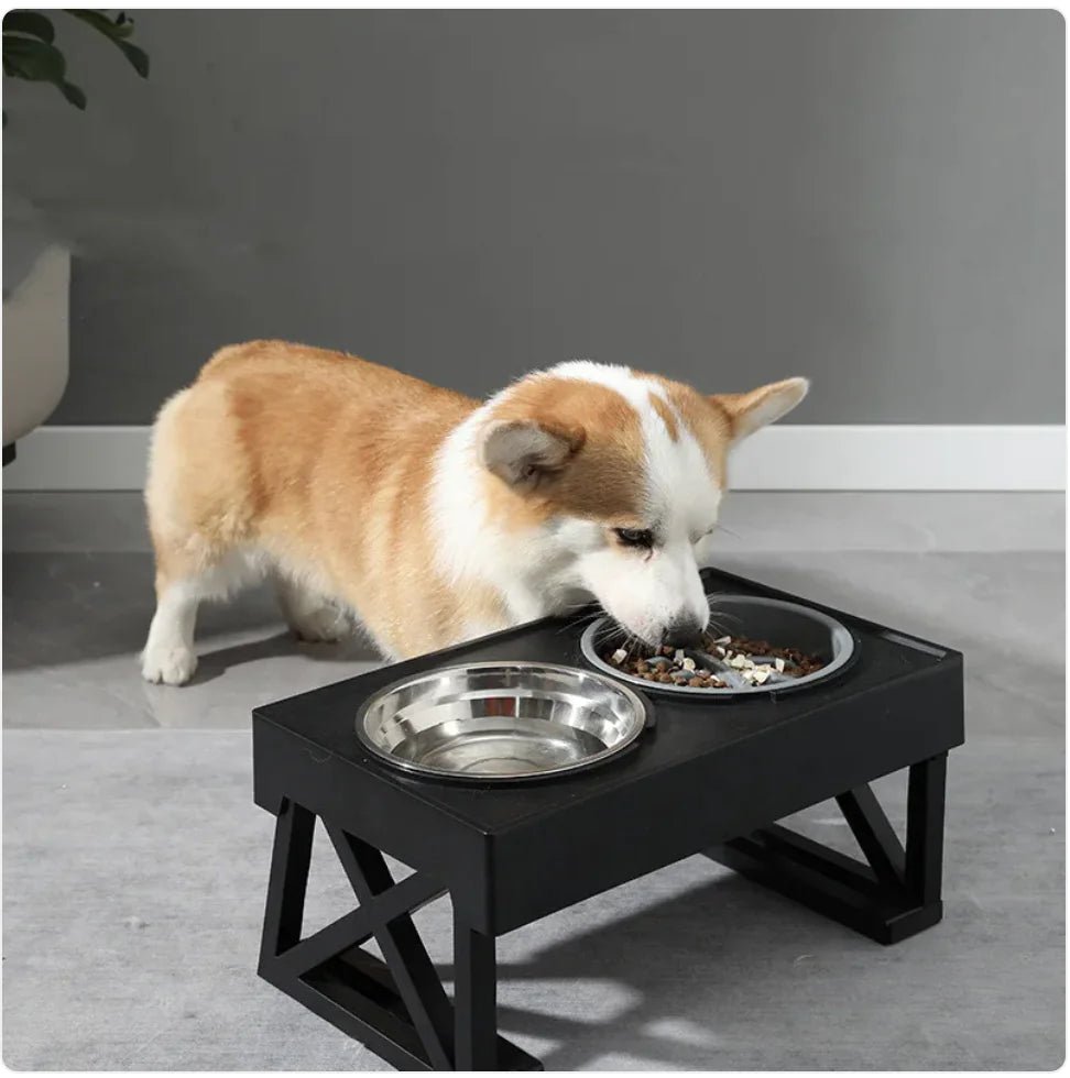 Elevated Slow - Feed Dog Bowl - Osacean Sky Logistics