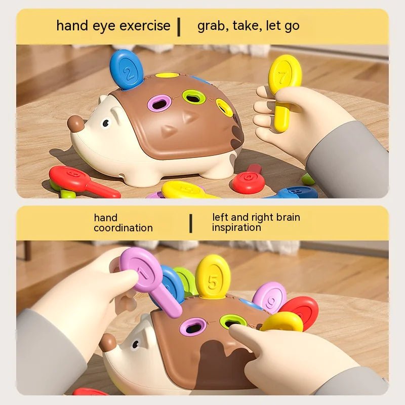 Little Hedgehog Early Learning Toy - Osacean Sky Logistics