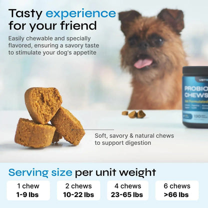 Probiotics for Dogs Dog Probiotic Chews for Digestive and Gut Health Dental Immune System Support Chewable Prebiotic Soft Treats Diarrhea and Bowel Support Supplement Wild Yam Yeast Powder - Osacean Sky Logistics