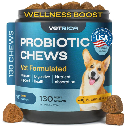 Probiotics for Dogs Dog Probiotic Chews for Digestive and Gut Health Dental Immune System Support Chewable Prebiotic Soft Treats Diarrhea and Bowel Support Supplement Wild Yam Yeast Powder - Osacean Sky Logistics