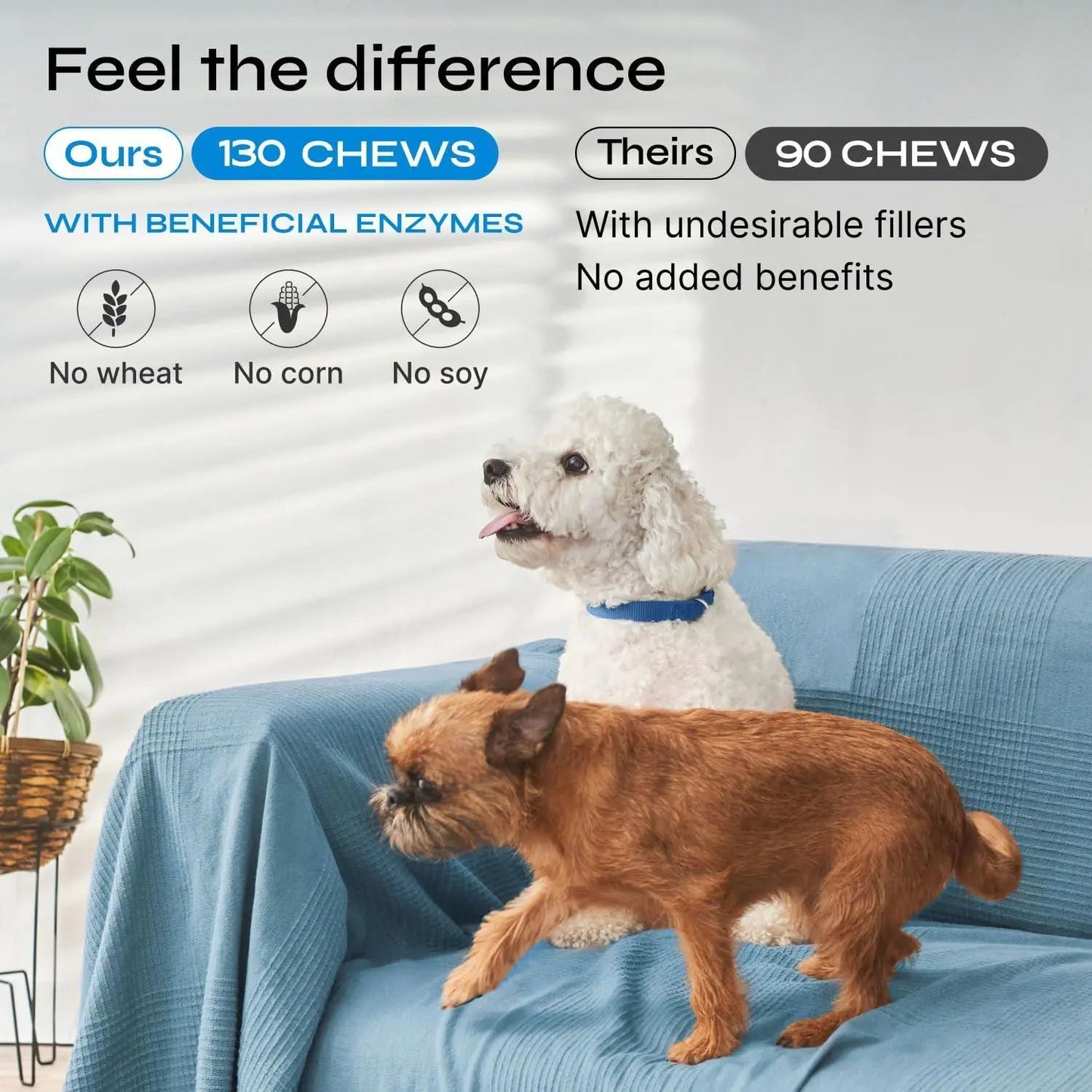 Probiotics for Dogs Dog Probiotic Chews for Digestive and Gut Health Dental Immune System Support Chewable Prebiotic Soft Treats Diarrhea and Bowel Support Supplement Wild Yam Yeast Powder - Osacean Sky Logistics