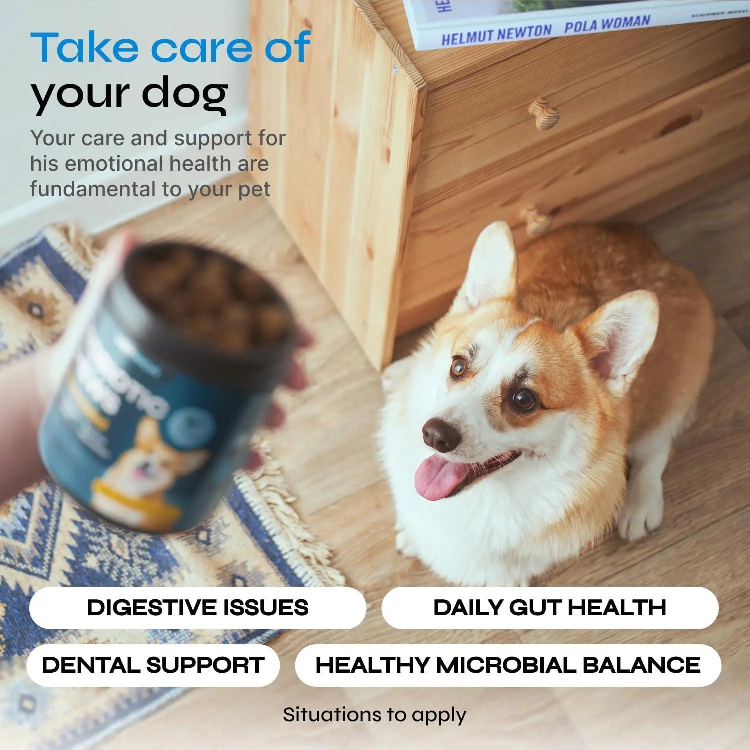 Probiotics for Dogs Dog Probiotic Chews for Digestive and Gut Health Dental Immune System Support Chewable Prebiotic Soft Treats Diarrhea and Bowel Support Supplement Wild Yam Yeast Powder - Osacean Sky Logistics