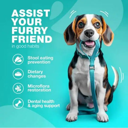 Stool - No - More Dog Chews: Digestive & Immune Health - Osacean Sky Logistics