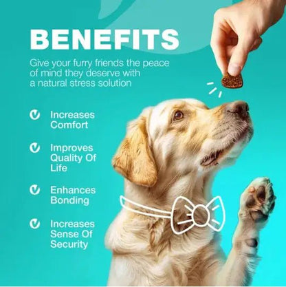 Stool - No - More Dog Chews: Digestive & Immune Health - Osacean Sky Logistics