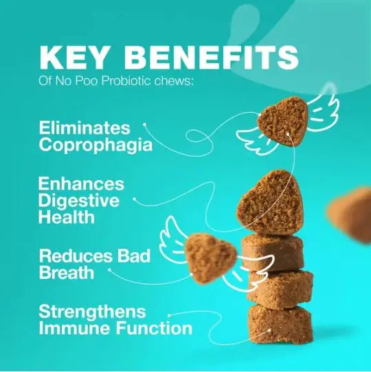 Stool - No - More Dog Chews: Digestive & Immune Health - Osacean Sky Logistics