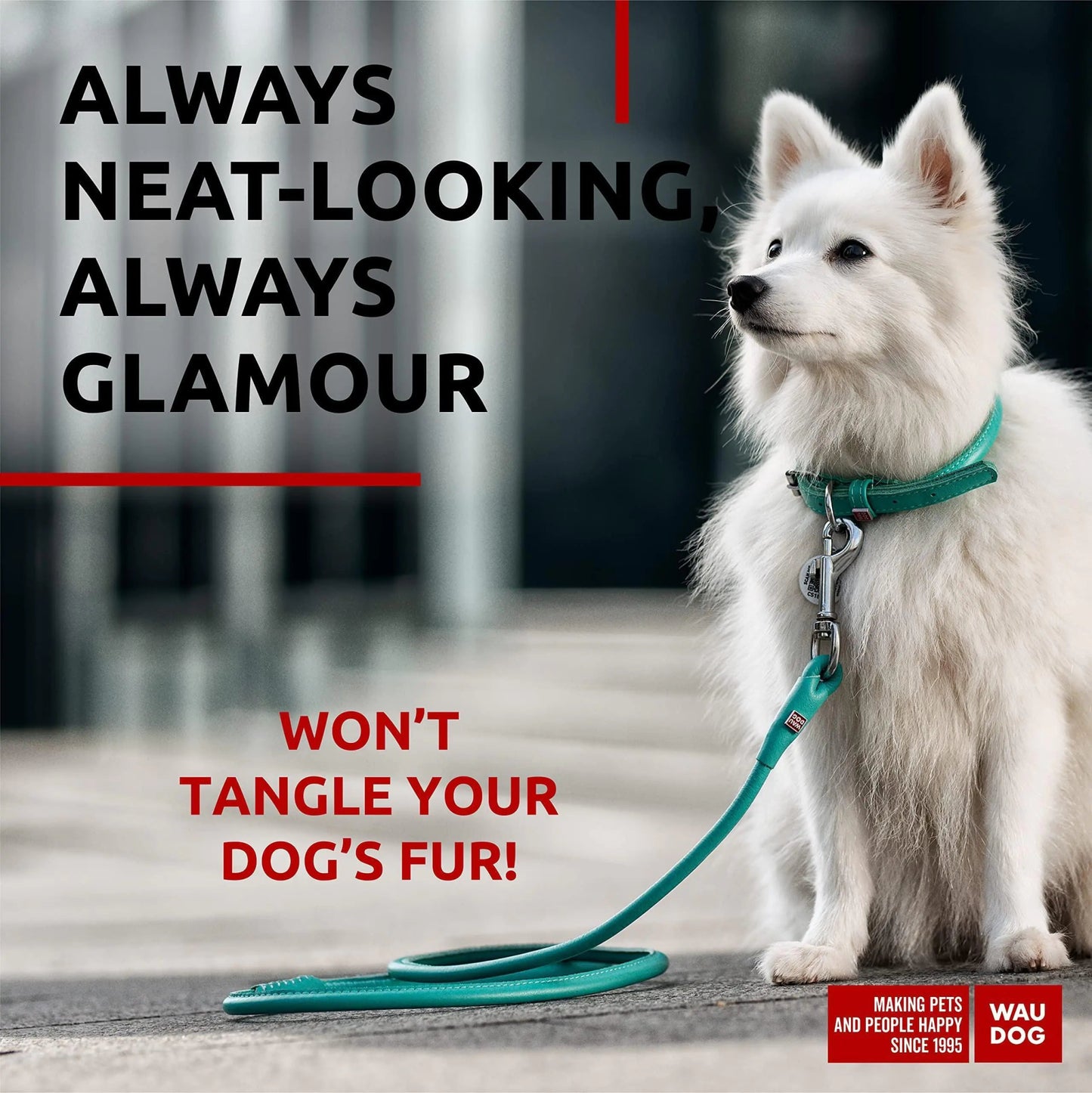 WAUDOG Rolled Leather Dog Leash 4Ft * 0.3 in for Small Medium and Large Dogs Heavy Duty Leather Puppy Leash for Outdoor Walking Running Training Strong Dog Leashes for Large Breed Dogs (Mint) - Osacean Sky Logistics