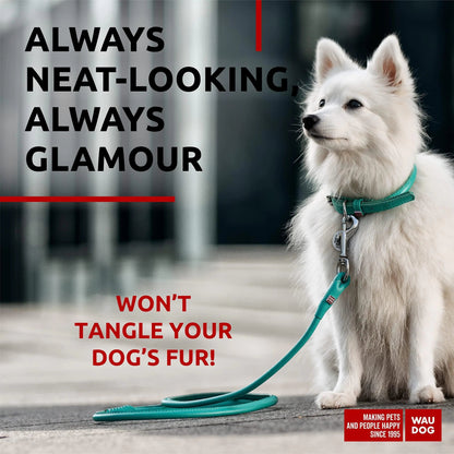 WAUDOG Rolled Leather Dog Leash 4Ft * 0.3 in for Small Medium and Large Dogs Heavy Duty Leather Puppy Leash for Outdoor Walking Running Training Strong Dog Leashes for Large Breed Dogs (Mint) - Osacean Sky Logistics