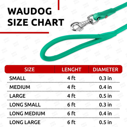 WAUDOG Rolled Leather Dog Leash 4Ft * 0.3 in for Small Medium and Large Dogs Heavy Duty Leather Puppy Leash for Outdoor Walking Running Training Strong Dog Leashes for Large Breed Dogs (Mint) - Osacean Sky Logistics