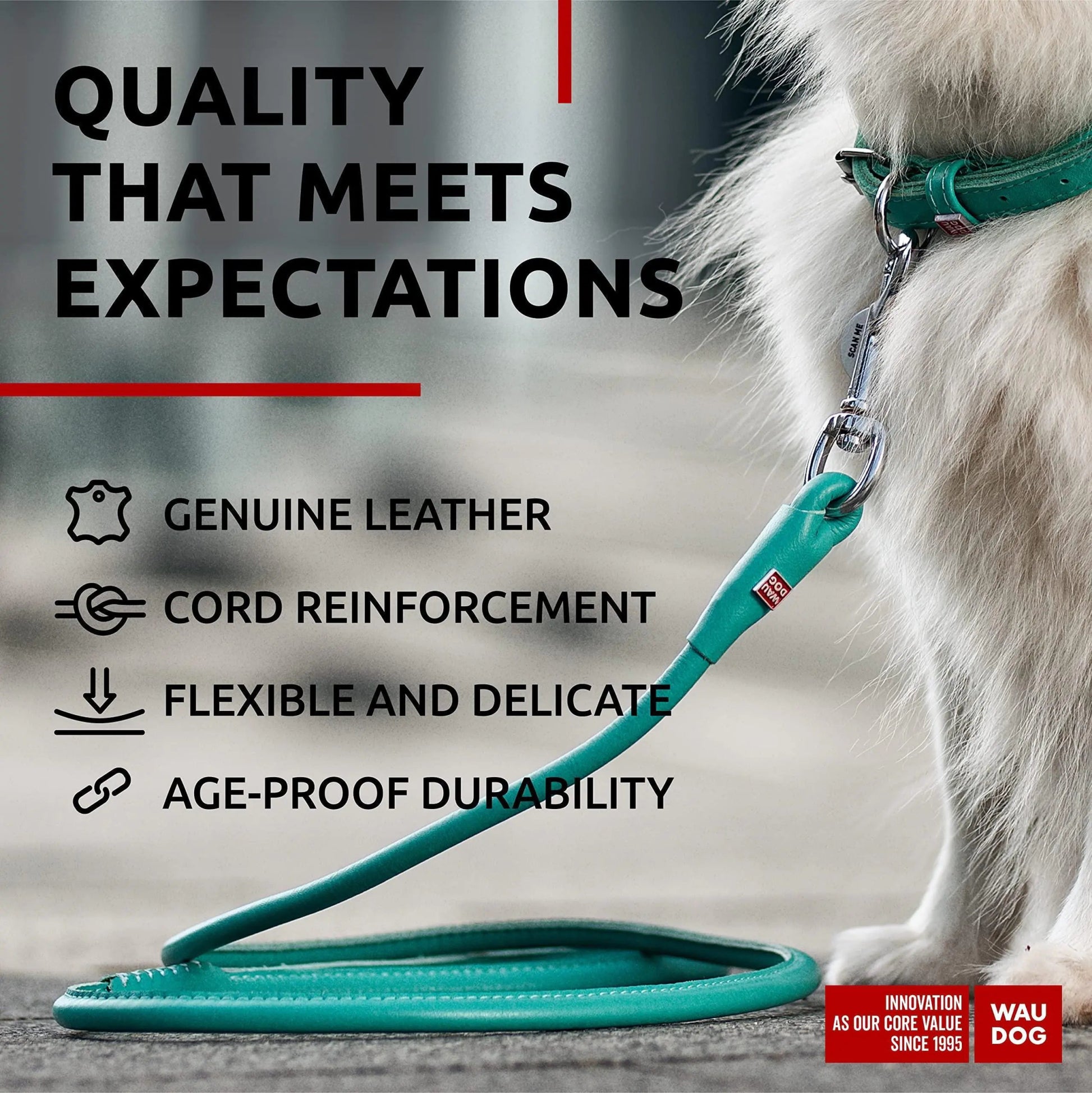 WAUDOG Rolled Leather Dog Leash 4Ft * 0.3 in for Small Medium and Large Dogs Heavy Duty Leather Puppy Leash for Outdoor Walking Running Training Strong Dog Leashes for Large Breed Dogs (Mint) - Osacean Sky Logistics