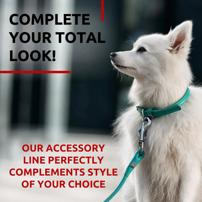 WAUDOG Rolled Leather Dog Leash 4Ft * 0.3 in for Small Medium and Large Dogs Heavy Duty Leather Puppy Leash for Outdoor Walking Running Training Strong Dog Leashes for Large Breed Dogs (Mint) - Osacean Sky Logistics