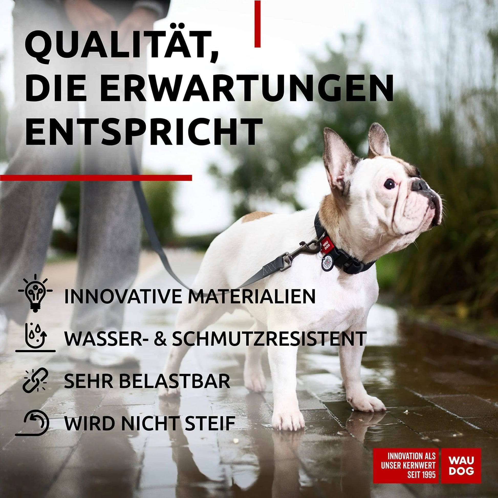 WAUDOG Waterproof Dog Collar Adjustable Dog Collar for Large Dogs Small and Medium Dogs Heavy Duty Dog Collars with Durable Metal Clasp and QR Dog Tag Boy & Girl Dog Collars (Black) - Osacean Sky Logistics