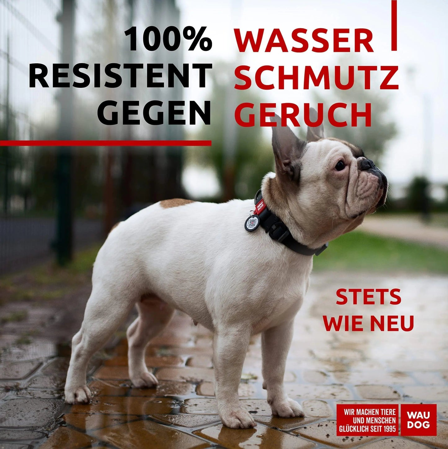 WAUDOG Waterproof Dog Collar Adjustable Dog Collar for Large Dogs Small and Medium Dogs Heavy Duty Dog Collars with Durable Metal Clasp and QR Dog Tag Boy & Girl Dog Collars (Black) - Osacean Sky Logistics